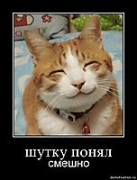 шутку понял смешно