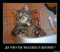 ДА ЧТО ТЫ ЗНАЕШЬ О ЖИЗНИ ? 