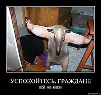 УСПОКОЙТЕСЬ, ГРАЖДАНЕ всё на мази