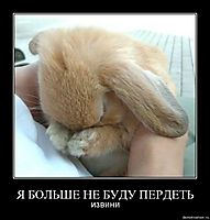 Я БОЛЬШЕ НЕ БУДУ ПЕРДЕТЬ извини