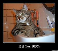 ИНФА 100% 