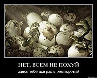 НЕТ, ВСЕМ НЕ ПОХУЙ здесь тебе все рады, желторотый