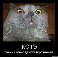 КОТЭ очень сильно демотивированный