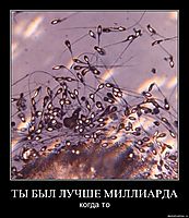 ТЫ БЫЛ ЛУЧШЕ МИЛЛИАРДА когда то
