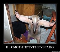 НЕ СМОТИТЕ! ТУТ НЕ УБРАНО. 