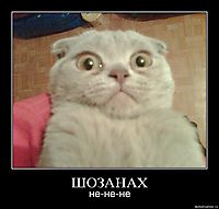 ШОЗАНАХ не-не-не