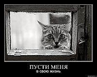 ПУСТИ МЕНЯ в свою жизнь
