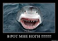 В РОТ МНЕ НОГИ !!!!!!!!!! 