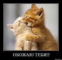 ОБОЖАЮ ТЕБЯ!!! 