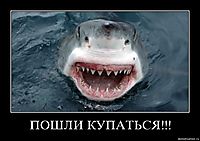 ПОШЛИ КУПАТЬСЯ!!! 