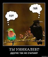 ТЫ УНИКАЛЕН? другие так не считают