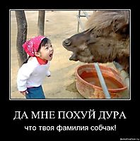ДА МНЕ ПОХУЙ ДУРА что твоя фамилия собчак!