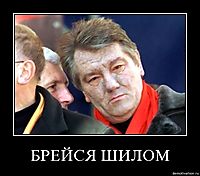 БРЕЙСЯ ШИЛОМ 