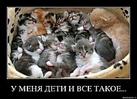 У МЕНЯ ДЕТИ И ВСЕ ТАКОЕ... 