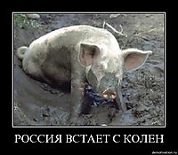 РОССИЯ ВСТАЕТ С КОЛЕН 