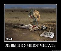ЛЬВЫ НЕ УМЕЮТ ЧИТАТЬ 