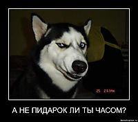 А НЕ ПИДАРОК ЛИ ТЫ ЧАСОМ? 