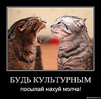 БУДЬ КУЛЬТУРНЫМ посылай нахуй молча!