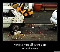УPВИ CВOЙ КУСОК от этой жизни