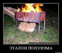 ЭТАЛОН ПОХУИЗМА 