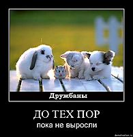 ДО ТЕХ ПОР пока не выросли