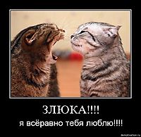 ЗЛЮКА!!!! я всёравно тебя люблю!!!!