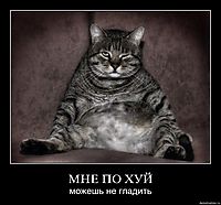 МНЕ ПО ХУЙ можешь не гладить