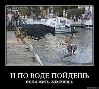 И ПО ВОДЕ ПОЙДЕШЬ если жить захочешь