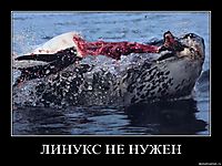 ЛИНУКС НЕ НУЖЕН