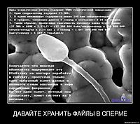 ДАВАЙТЕ ХРАНИТЬ ФАЙЛЫ В СПЕРМЕ 