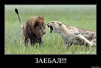 ЗАЕБАЛ!!! 