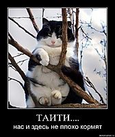 ТАИТИ.... нас и здесь не плохо кормят