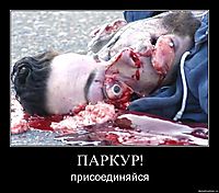 ПАРКУР! присоединяйся