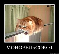 МОНОРЕЛЬСОКОТ 