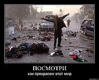 ПОСМОТРИ как прекрасен этот мир
