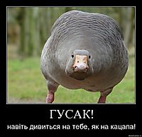ГУСАК! навіть дивиться на тебе, як на кацапа!