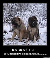 КАВКАЗЦЫ..... есть среди них и нормальные...........