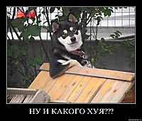 НУ И КАКОГО ХУЯ??? 