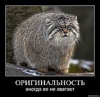 ОРИГИНАЛЬНОСТЬ иногда ее не хватает