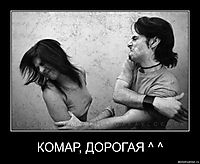 КОМАР, ДОРОГАЯ ^ ^ 