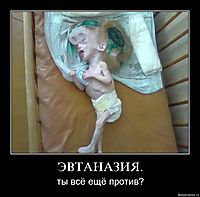 ЭВТАНАЗИЯ. ты всё ещё против?