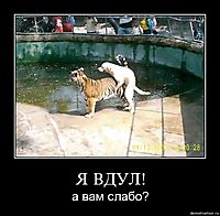 Я ВДУЛ! а вам слабо?