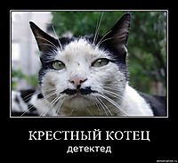 КРЕСТНЫЙ КОТЕЦ детектед