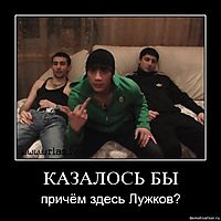 КАЗАЛОСЬ БЫ причём здесь Лужков?
