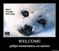WELCOME добро пожаловать на землю