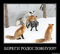 БЕРЕГИ РОДОСЛОВНУЮ!!! 