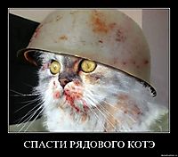 СПАСТИ РЯДОВОГО КОТЭ 