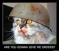 ARE YOU GONNA GIVE ME ORDERS? 