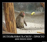 ИСПОЛЬЗОВАТЬ СИЛУ - ПРОСТО даже макака может