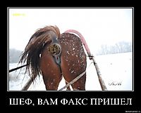 ШЕФ, ВАМ ФАКС ПРИШЕЛ 